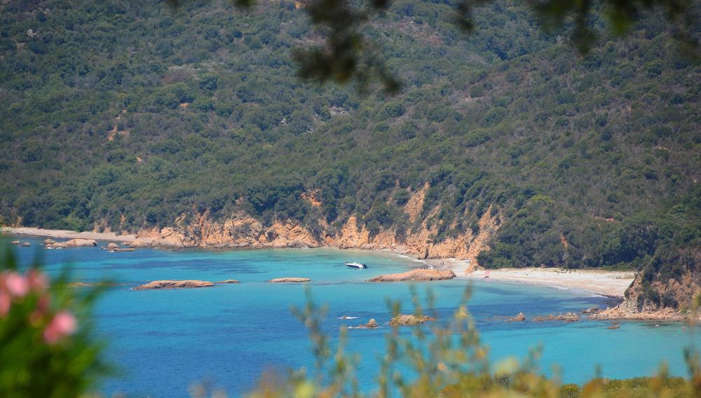 Découvrir nos 6 plages